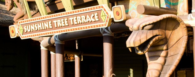 sunshine-tree-terrace-00